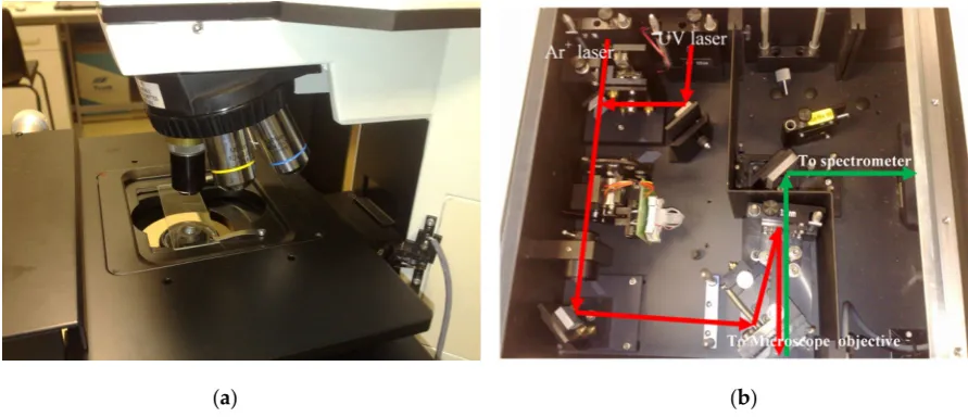 Figure 11. (a) Microscope lenses attached to the LabRamglass microscope slide below the objective lens