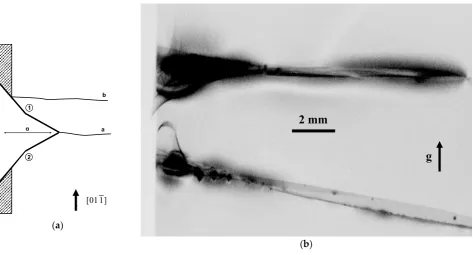 Figure 6. (a) Schematic diagram of the macroscopic cracks generated by Vickers indentation within 75bevel edge (b) White beam X-ray topograph of a pair of such cracks