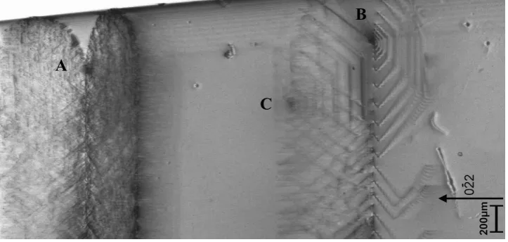 Figure 8. (a) X-ray section topograph of slip dislocations generated on {111} glide planes from surface indentations upon annealing
