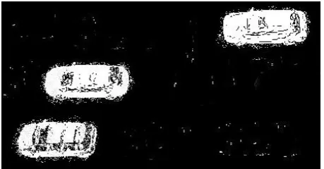 Figure 2-b: The image after foreground segmentation stage 