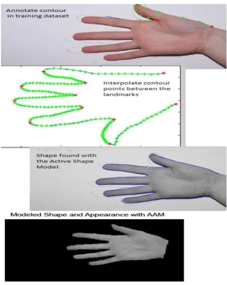 Figure 1.  Hand Shape Appearance Model [4]. 