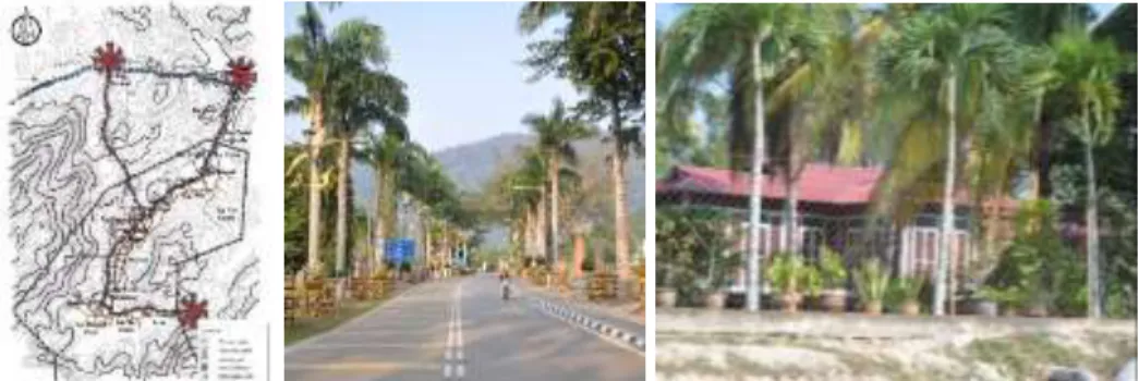 Figure 3: a) The circulation map; b) alignment of palm tree along the road that shows a  sense of direction; c) palm trees planted in front of the housing compound that act as 