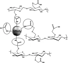 Figure 2. FESEM images of: (A) hydrated CMC-NP-50 and CMC-NP-70 hydrogels at a magnification of 1000×, (B) freeze-dried CMC-NP-50, and (C) freeze-dried CMC-NP-70 hydrogels, the latter two at a magnification of 9000×; the circle highlights the presence of N