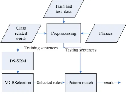 Figure 1. The workflow of DS-SRM 