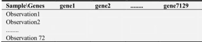 Table 1. Data matrix for leukemia cancer dataset. 