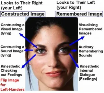 Figure 7. Eye movements (https://hk.images.search.yahoo.com/images/view). 
