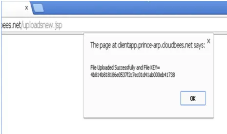 Figure 7.File Decrypted using the Secure Hash Key  