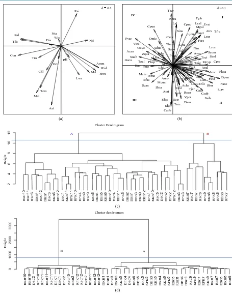 Figure 5. CCA ordination with species richness related to environmental factors in seagrass meadowns at Sikao Bay, Trang Province, Thailand