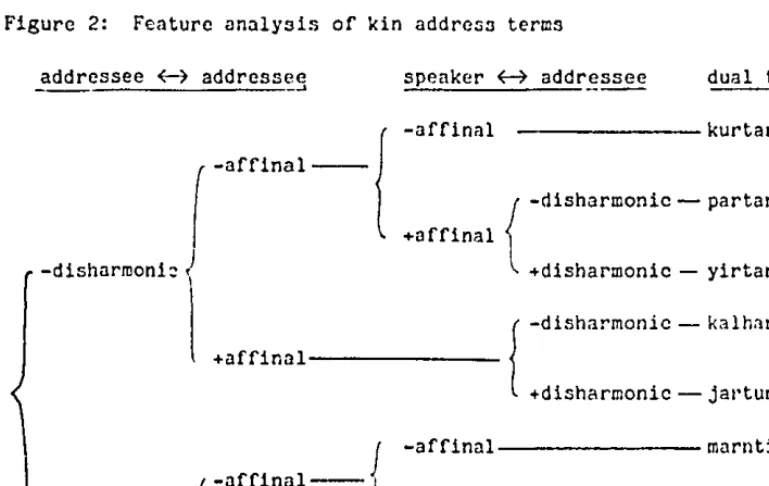 Figure 2: Feature analysis -1 of kin address terms 