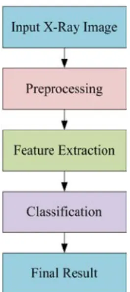 Figure 2. Scanning X-ray Image of Lower Leg Bone.  2.2. Image Preprocessing 