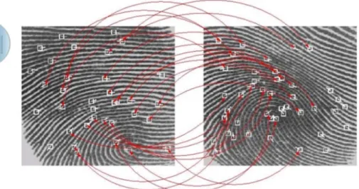 Figure 5. Automatic matching of minutiae. 