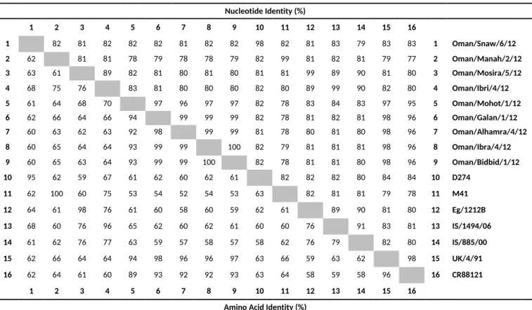 Table 3: Nucleotide and amino acid similarity between representatives from each distinct