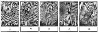 Fig. 4: Types of minutiae [7]).