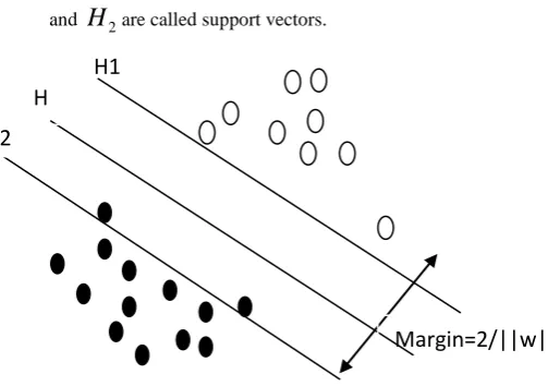 Figure 1: The SVM binary classifications 