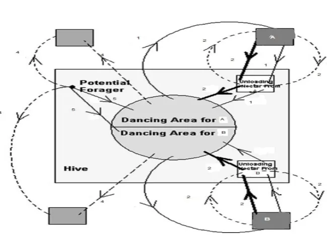 Fig 1: Behavior of employed honey bee 