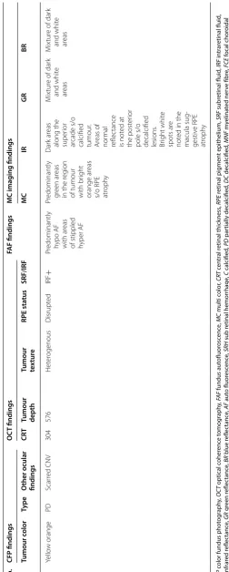 Table 2 (continued)