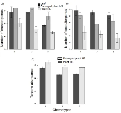 Figure 2. Mean number of monoterpenes (A) and sesquiterpenes (B) detected in samples of leaf extracts and headspace of damaged and undamaged plants per chemotype