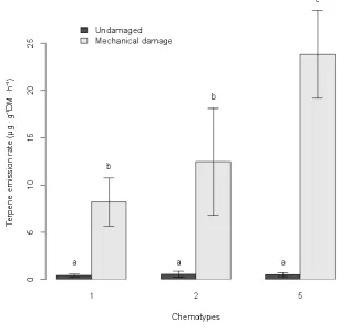 Figure 5. Mean terpene emission rates per dry leaf mass for undamaged plants or when damaged mechanically among the three cardinal chemotypes of Melaleuca alternifolia