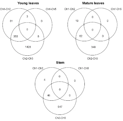 Figure 1. Venn diagrams of the number of differentially expressed genes among pairwise comparisons between chemotypes, for young leaves, mature leaves and green stem
