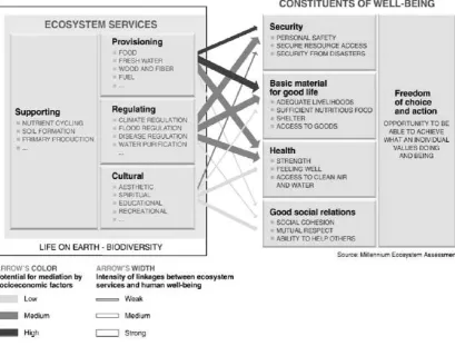 Figure 1.1: The ecosystem services concept from which the MA framework builds on (extracted from MA 2005a, p