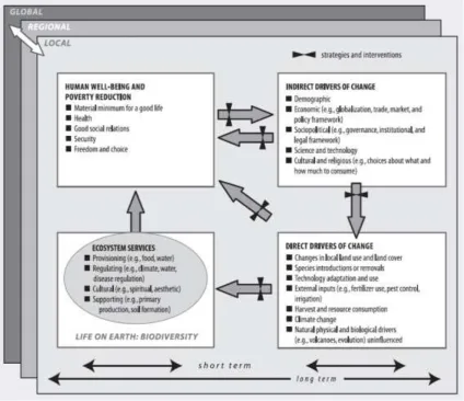 Figure 2.2: The conceptual framework underpinning the MA methodology (extracted from MA 2005a, p