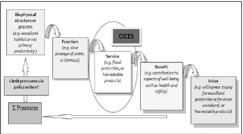 Figure 2.4: The conceptual framework underpinning CICES (extracted from Haines-Young and Potschin 2010a, p