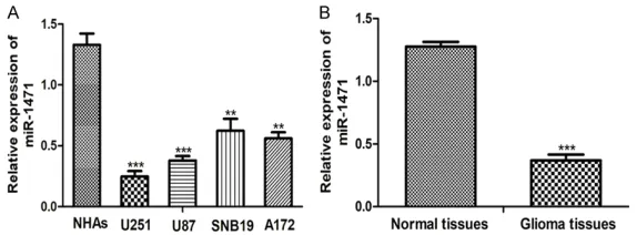 Figure 1. Downregulation of miR-1471 in glioma cell lines and tissues. A. qRT-PCR analysis of miR-1471 expression in glioma cell lines and NHAs cell line