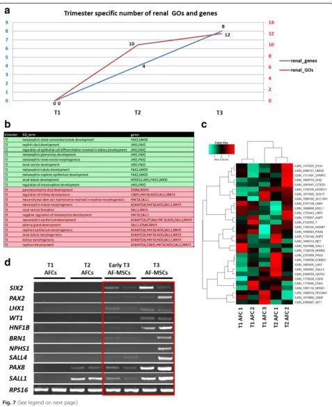 Fig. 7 (See legend on next page.)
