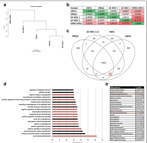 Fig. 8 Third-trimester AF-MSCs express genes associated with renal-specific biological processes and have high overlap with kidney cells