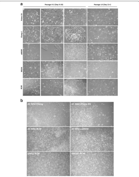 Fig. 1 (See legend on next page.)