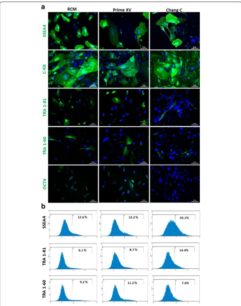 Fig. 2 (See legend on next page.)
