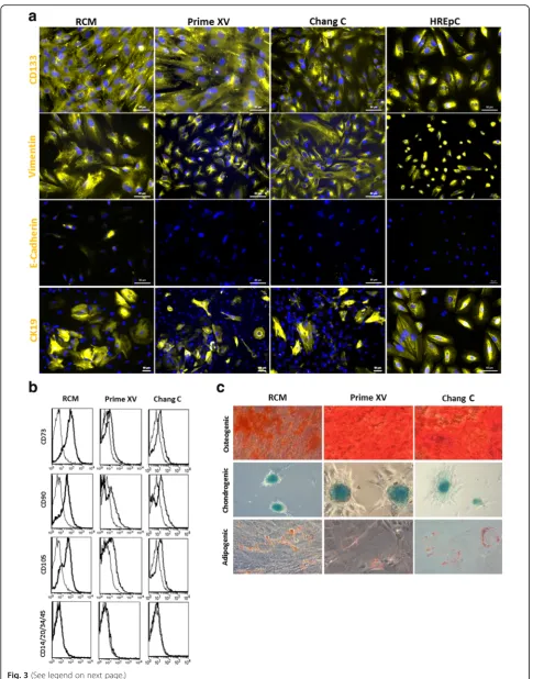 Fig. 3 (See legend on next page.)