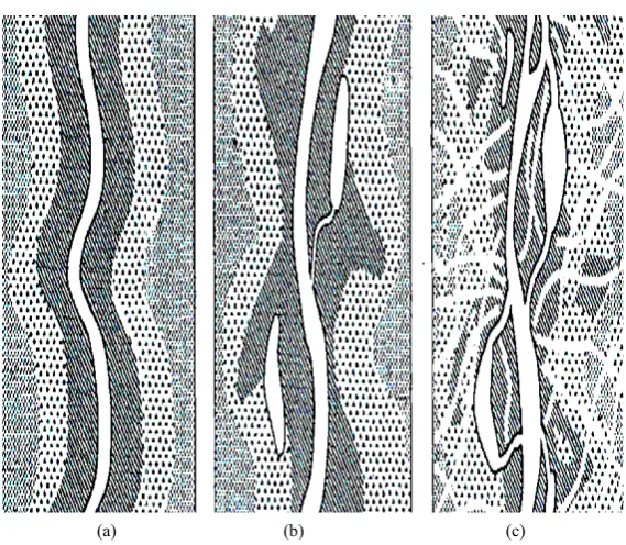 Figure 8. Shallow pools are favourable physical attributes for calves; they can cool their bodies while at the same time being protected from land predators such as lion even when they are not close to the mother