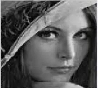 Figure 5 Cropped of cropped Image 