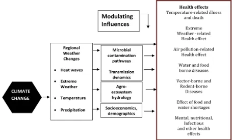 Figure 1. Pathways by which climate change affects human health including local modulating influences and the feedback influence of adaptation measures