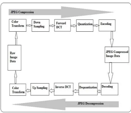 Figure 1 shows the basic working of JPEG image compression, where each block contains useful information and encoding/decoding blocks play an important role for the compression and its reverse process