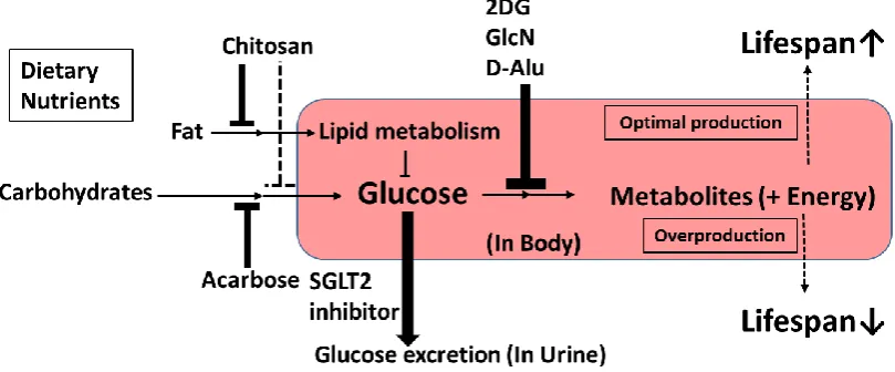 Figure 4. Characteristics of upstream-type CRMs. 