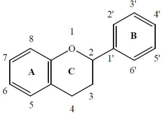 Figure 3: Flavonoids structure. 