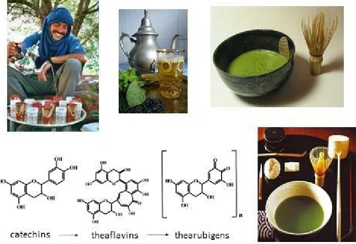 Figure 4: Polymerisation of catechins. 
