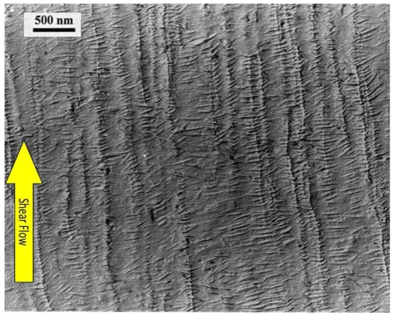 Figure 2. A transmission electron micrograph of a replica of a differentially etched [3] surface of a polyethylene blend crystallised after being subjected to the same shear history as for the sample shown in Figure 1