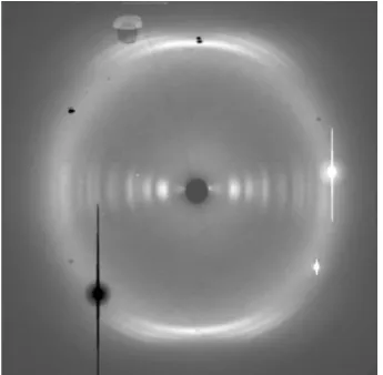 Figure 11. The SAXS pattern for a sample of PCL. 