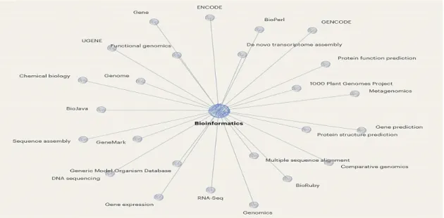 Figure 1. Relationship between bioinformatics concept and other core concepts 
