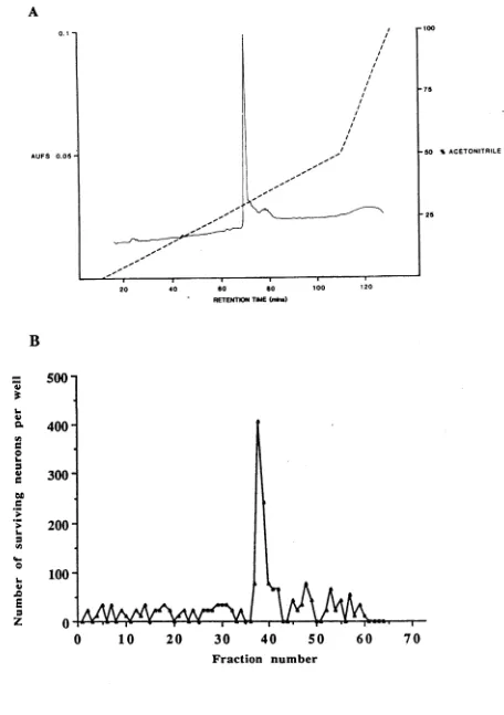 Figure 2.5A shows the RPC chromatogram of the beef heart factor purified by heparin-affinity chromatography
