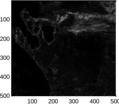 Fig 5: Temporal correlation between two adjacent images 