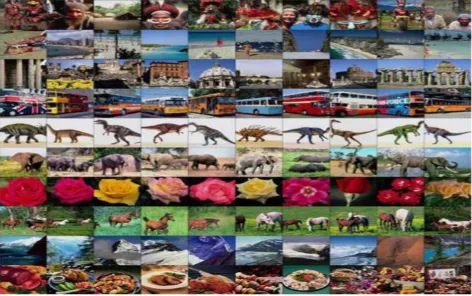 Figure 2: Sample of 10 images of 10 different category of Wang database  
