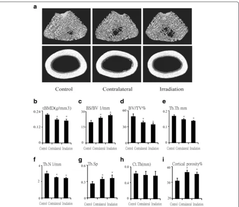 Fig. 1 Effects of in vivo radiation exposure to single bone on bone microarchitecture in the femur 12 weeks post-irradiation