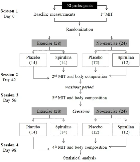 Figure 5. Experimental design for independent and additive effect of Spirulina maxima and exercise