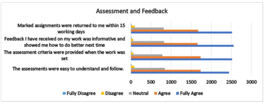 Figure 1. Scale: Assessment and Feedback. 