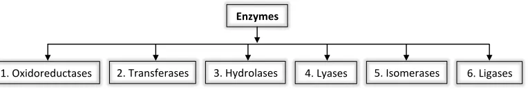 Figure 1.1 Enzyme classification 