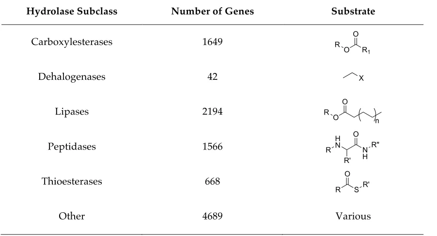 Table 1.3 Enzymes of the -/, hydrolase fold family 